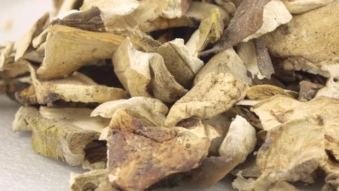 Dried white mushrooms Stock Footage 101635997