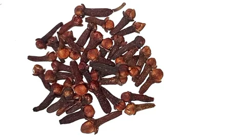 Dried whole cloves on white background Stock Footage 322713013
