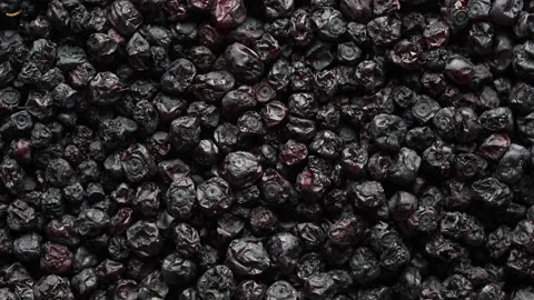 Dried wild blueberries background, rotates. Pile dry blueberry from dehydrator Stock Footage 310163704