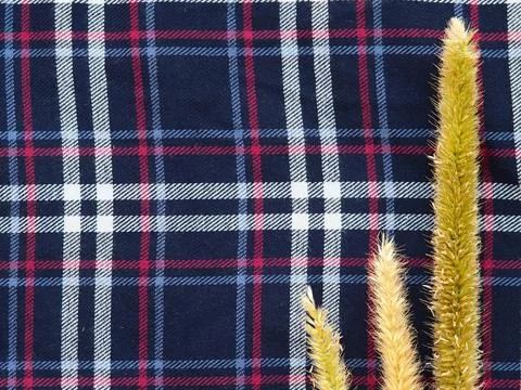Dried wild grass stems on a dark blue plaid checkered fabric background. Stock Photos