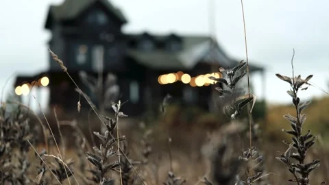 Dried wildflowers in foreground, revealing a rustic house in the background Stock Footage 319962728