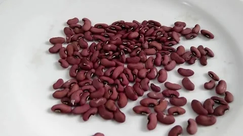 Dried yardlong bean seeds scattered on a clean white ceramic plate. Close-u.. Stock Footage 340488420