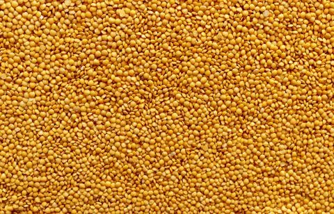 Dried yellow Split Lentils background. Stock Photos