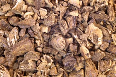 Dried yellowhead root pieces Stock Photos