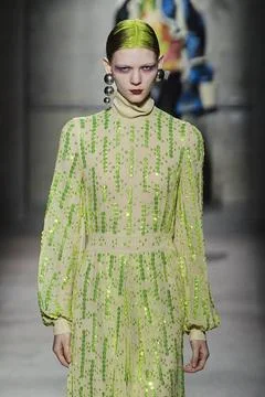  Dries Van Noten RTW Fall 2020 at Paris fashion Week Dries Van Noten RTW F... Stock Photos