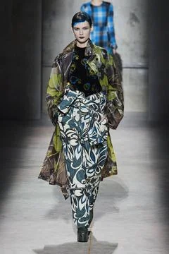  Dries Van Noten RTW Fall 2020 at Paris fashion Week Dries Van Noten RTW F... 스톡 사진