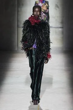  Dries Van Noten RTW Fall 2020 at Paris fashion Week Dries Van Noten RTW F... 스톡 사진