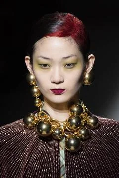  Dries Van Noten RTW Fall 2020 at Paris fashion Week Dries Van Noten RTW F... Stock Photos