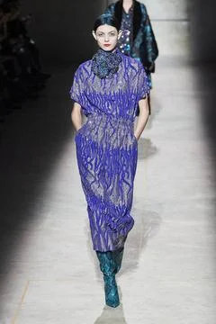  Dries Van Noten RTW Fall 2020 at Paris fashion Week Dries Van Noten RTW F... 스톡 사진