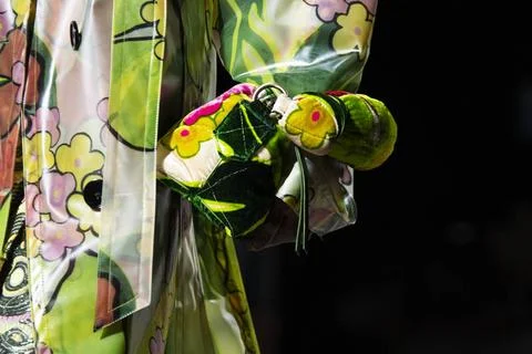  Dries Van Noten RTW Fall 2020 at Paris fashion Week Dries Van Noten RTW F... 库存照片