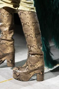  Dries Van Noten RTW Fall 2020 at Paris fashion Week Dries Van Noten RTW F... 스톡 사진