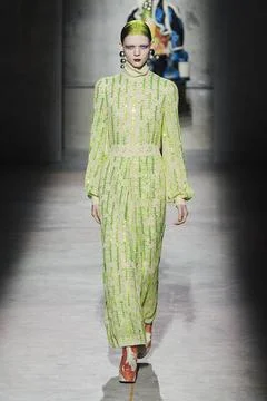 Dries Van Noten RTW Fall 2020 at Paris fashion Week Dries Van Noten RTW F... Stock Photos