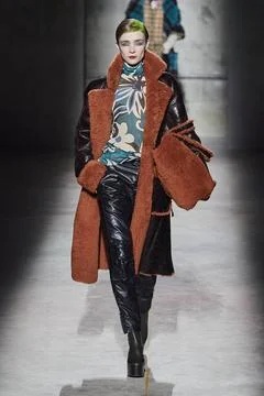  Dries Van Noten RTW Fall 2020 at Paris fashion Week Dries Van Noten RTW F... 스톡 사진