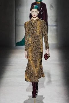  Dries Van Noten RTW Fall 2020 at Paris fashion Week Dries Van Noten RTW F... 스톡 사진