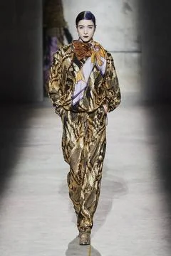  Dries Van Noten RTW Fall 2020 at Paris fashion Week Dries Van Noten RTW F... 스톡 사진