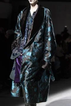  Dries Van Noten RTW Fall 2020 at Paris fashion Week Dries Van Noten RTW F... 库存照片