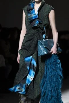  Dries Van Noten RTW Fall 2020 at Paris fashion Week Dries Van Noten RTW F... 스톡 사진