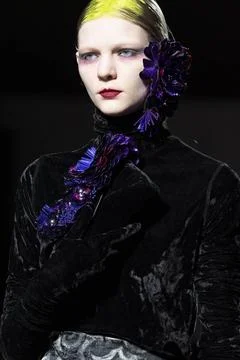  Dries Van Noten RTW Fall 2020 at Paris fashion Week Dries Van Noten RTW F... 库存照片