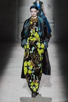  Dries Van Noten RTW Fall 2020 at Paris fashion Week Dries Van Noten RTW F... 스톡 사진