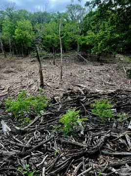 Drift Away Foto stock