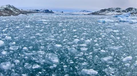 Drift floating Ice, Albert I Land, Norway Stock Photos