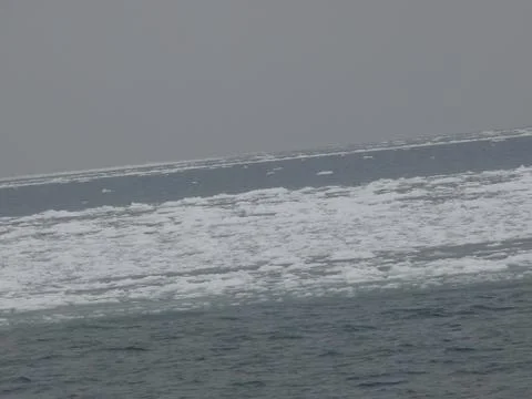 Drift Ice Stock Photos