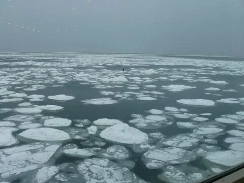 Drift Ice 库存照片