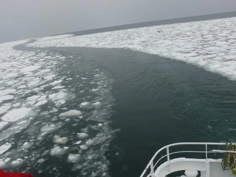 Drift Ice 库存照片