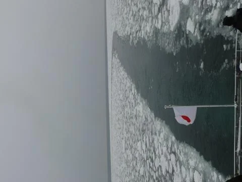 Drift Ice Stock Photos