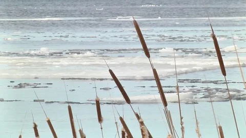 Drift ice in the spring Stock Footage 74246746