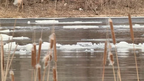 Drift ice in the spring Stock-Footage 74248700