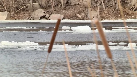 Drift ice in the spring Stock Footage 74249838