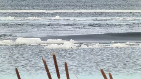 Drift ice in the spring Stock Footage 74250104