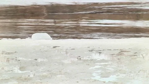 Drift ice in the spring Stock Footage 74250238