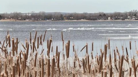 Drift ice in the spring Video stock 74258147