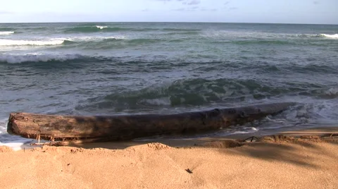 Drift Log Stock Footage 6625675