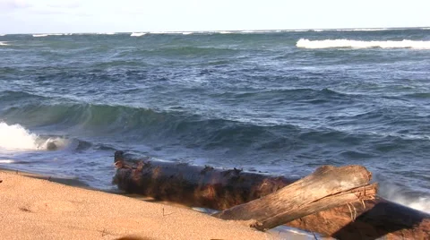 Drift Log Stock Footage 6700559