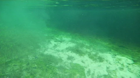 Drift From Spring to River Stock Footage 739103