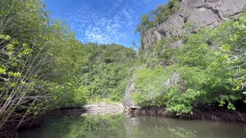 Drift through mangrove river 스톡 동영상 212602738