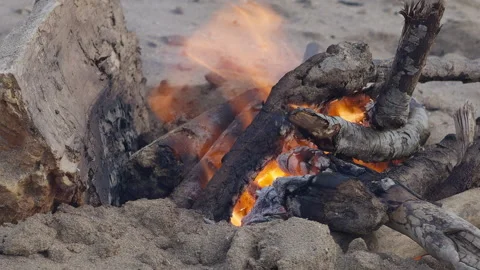 Drift Wood Fire Flames In The Wind Stock Footage 344911581