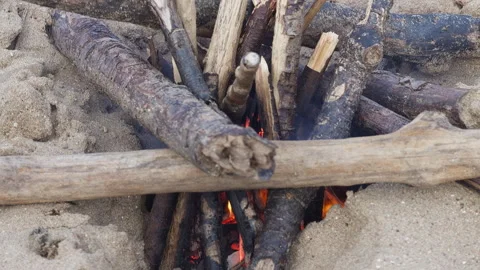 Drift Wood Fire In Hole On Sandy Beach  Stock Footage 344911390