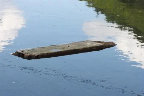 A Drift wood Stock Photos