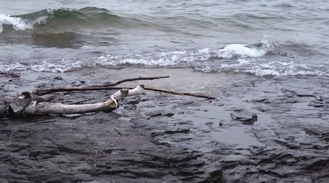 Drift wood superior Video stock 5165911