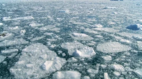 Drifting Arctic Ice Floes Stock Footage