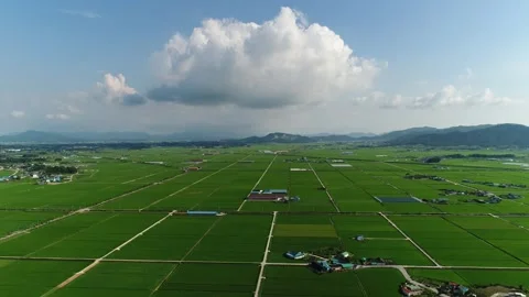 Drifting Clouds Over Green Summer Fields(15sec) Stock Footage 340497610