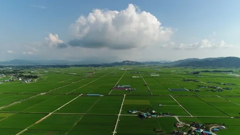 Drifting Clouds Over Green Summer Fields(10sec) Stock Footage 340497654