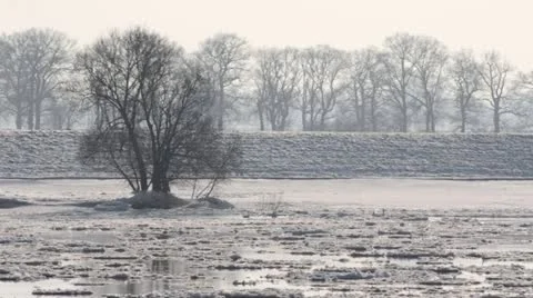 Drifting ice on Elbe River, Flusslandschaft Elbe Biosphere Reserve, Germany Stock Footage 12675922