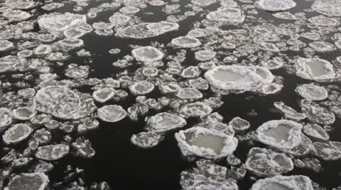 Drifting ice on Elbe River, Flusslandschaft Elbe Biosphere Reserve, Germany Stock Footage 12676363