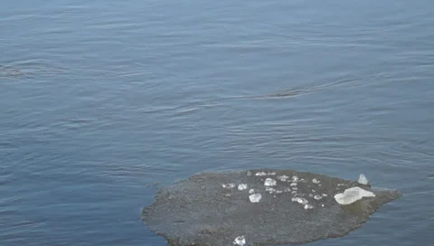 Drifting ice Stock-Footage 36030400