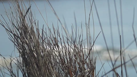 Drifting ice 스톡 동영상 36030451